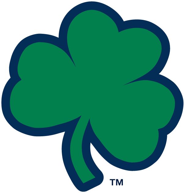 Notre Dame Fighting Irish 1994-Pres Alternate Logo v6 iron on transfers for T-shirts